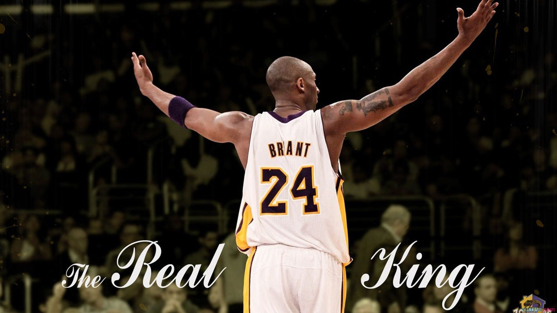 世界杯超级决战：巅峰对决，荣耀时刻，世界杯终至决赛 品牌们的悲喜荒诞剧快落幕了